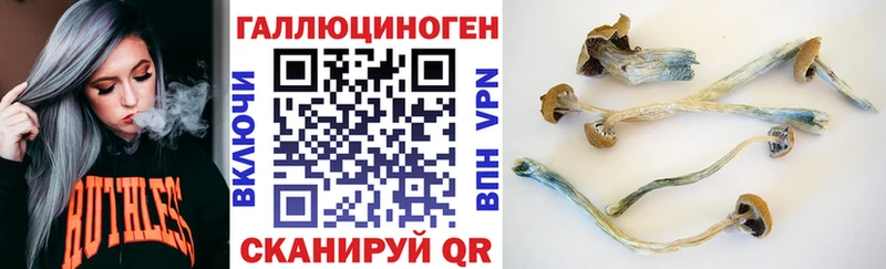 Галлюциногенные грибы Cubensis  Купить закладки  Подольск 